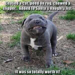 FB_IMG_1760824990748.jpg