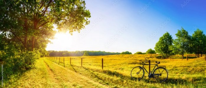 green field bike.jpg