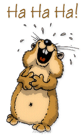 hahaha..mouse.gif