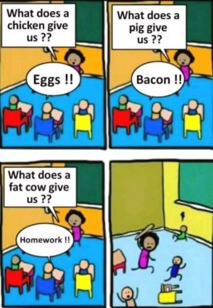 IMG_3077.jpeg