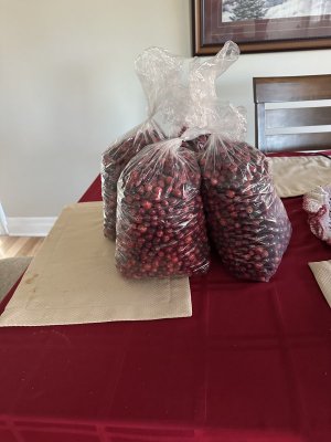 IMG_1060.jpeg