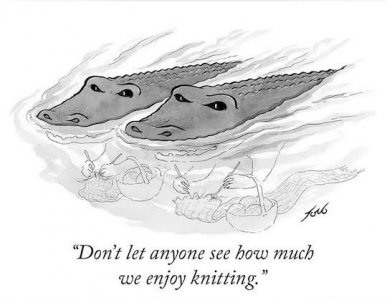 Knitting Alligators.jpg