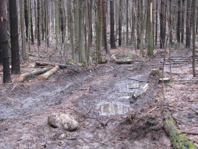 Back Trail  May_1.JPG