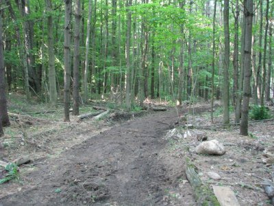 Back Trail  fixed.JPG