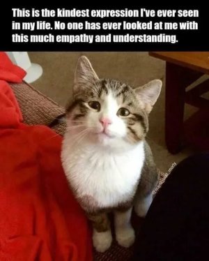10.jpeg