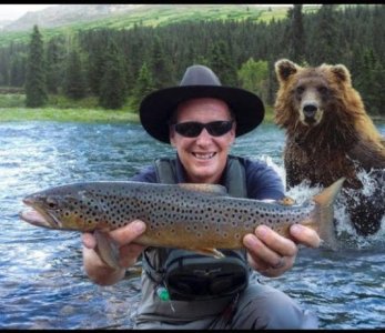 102025bear.jpg