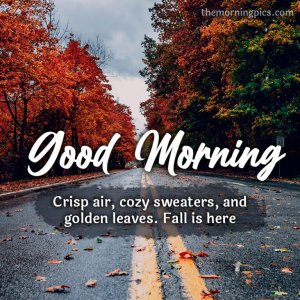 Good-Morning-Fall-Images-1-768x768.jpg