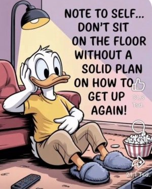 senior3.jpg