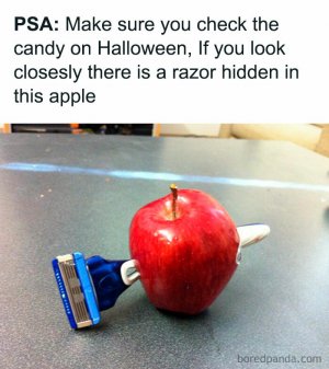 Halloween-meme-28-671a3ee190fb5__700.jpg