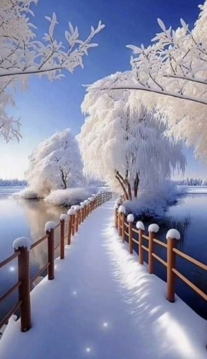 white snow bridge.jpg