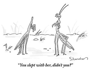 mantis2.gif