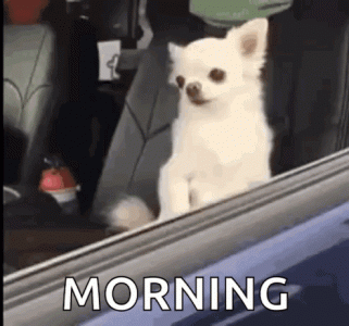 1000026322.gif
