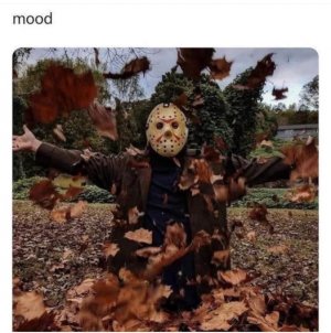 YACxwrz.jpeg