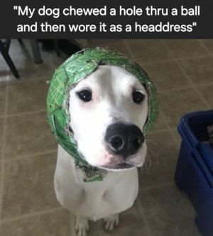 FB_IMG_1761088557551.jpg