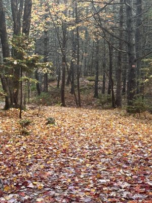 IMG_1103.jpeg IMG_1103.jpeg