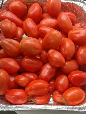 IMG_1137.jpeg