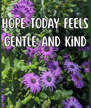 Today Gentle.jpeg