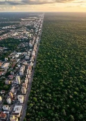 Manaus.jpg Manaus.jpg