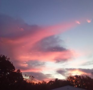 IMG_20251017_071351.jpg IMG_20251017_071351.jpg