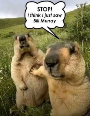 FB_IMG_1761118478653.jpg