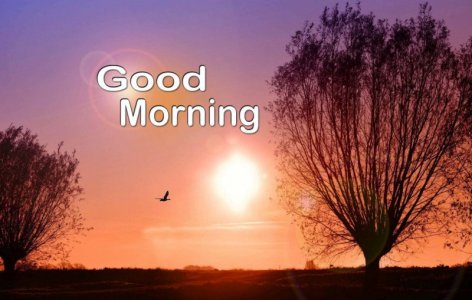good-morning-background-lslph8s6vwrrmskq-4086806819.jpg
