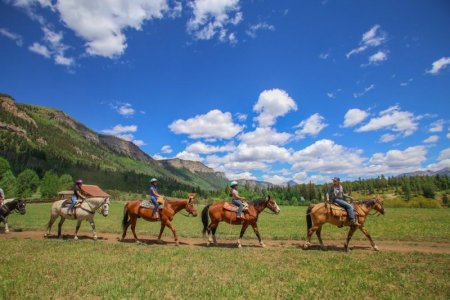 bears_ranch.jpg