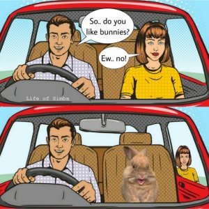 197.jpg
