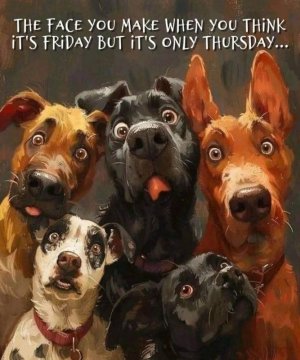 FB_IMG_1761236350210.jpg