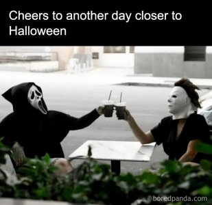 Cheers.jpg