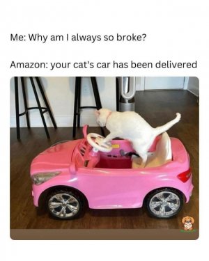 FB_IMG_1761227078973.jpg