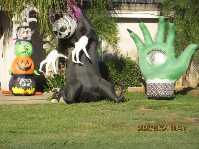IMG_2780.JPG IMG_2780.JPG