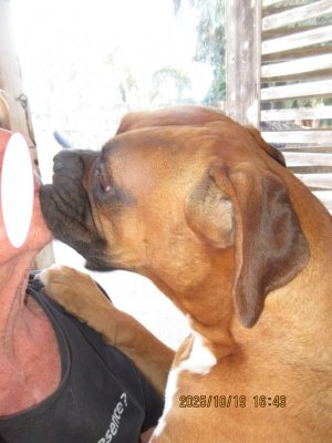 2025-10-19 puppy love.jpg 2025-10-19 puppy love.jpg