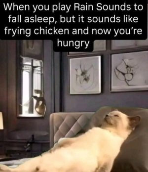 FB_IMG_1761100405717.jpg