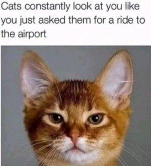 FB_IMG_1761100620187.jpg