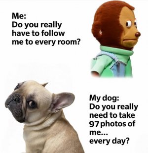 FB_IMG_1761422102880.jpg