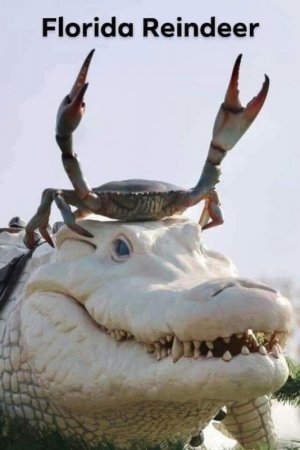 0.jpg