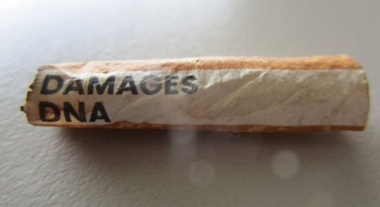 fag.JPG