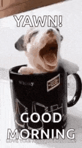 1000026324.gif