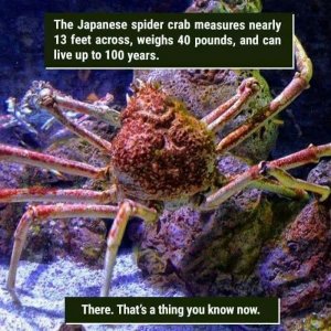 FB_IMG_1761421905247.jpg