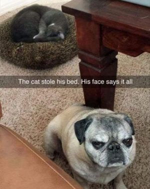FB_IMG_1761421739707.jpg