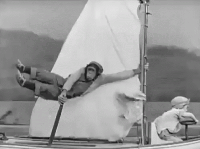 animalgif.gif