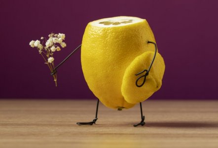 animated-lemon-holding-plant-still-life.jpg