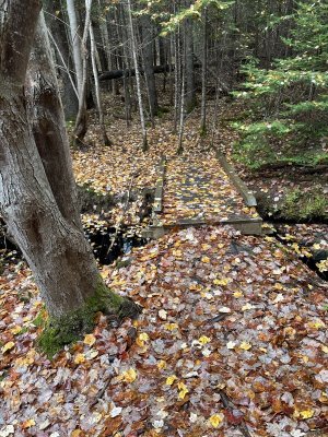 IMG_1183.jpeg IMG_1183.jpeg