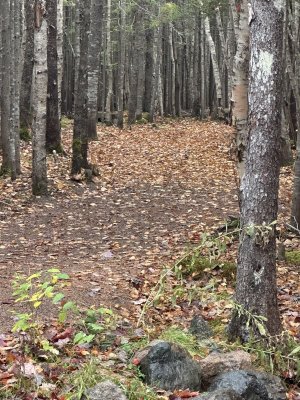 IMG_1181.jpeg IMG_1181.jpeg