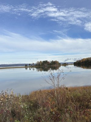 IMG_1179.jpeg IMG_1179.jpeg