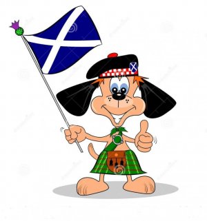 scottish.jpg scottish.jpg
