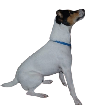 oscar-print-removebg-preview.png oscar-print-removebg-preview.png