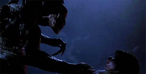 205629.gif