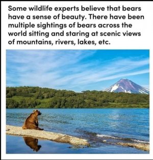 1000007842.jpg 1000007842.jpg