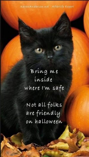 571255785_1302282055245676_1470982620340762245_n (1).jpg